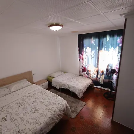 Big Penthouse For 10 Per Torrevieja