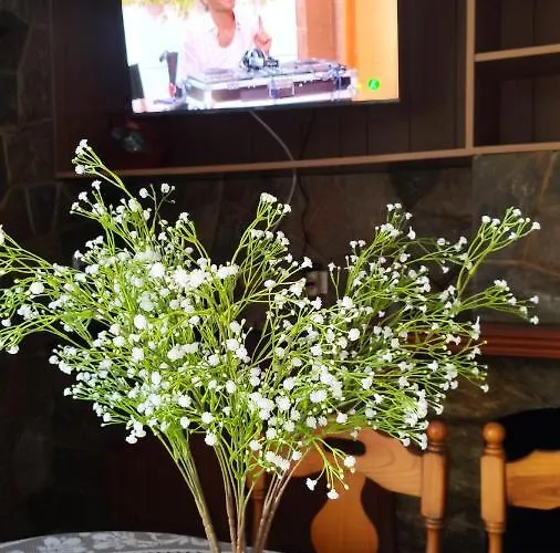 Big Penthouse Atico * Torrevieja